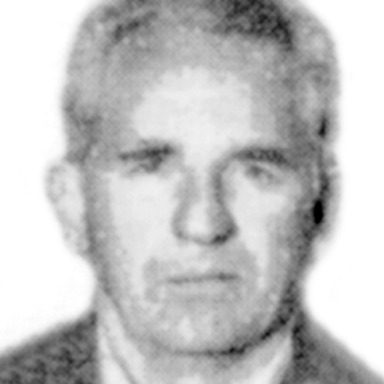Đorđija Terzić