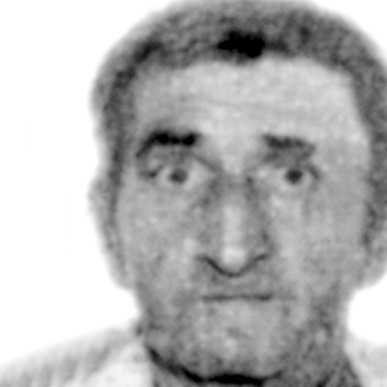 Nikola Nikčević