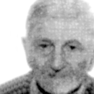 Žarko Škoro