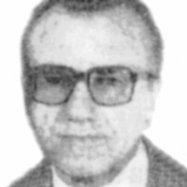 Radisav Pavlinić