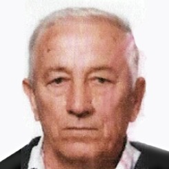 Hasib Babić