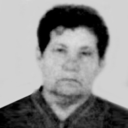 Vukosava Fržović