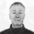 Vehid Adanalić