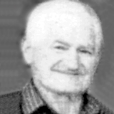 Miloš Grbavčević