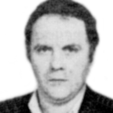 Vojislav Kadić