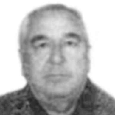 Živorad Joksić