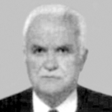Vojislav Dević