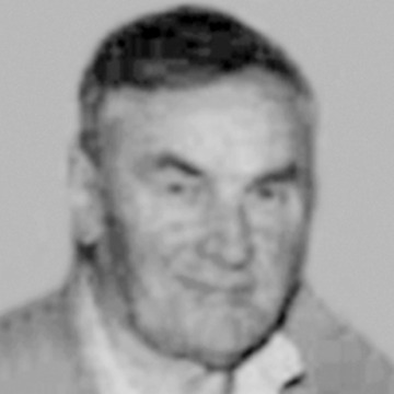 Ljubomir Plavšić