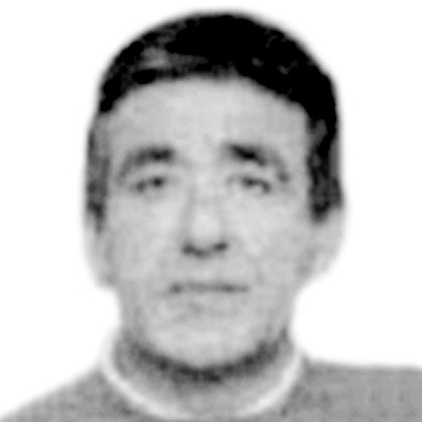 Svetislav Milin