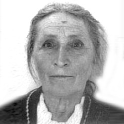 Gospava Ninković
