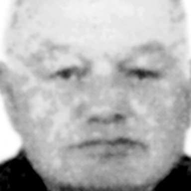 Rodoljub Todorović