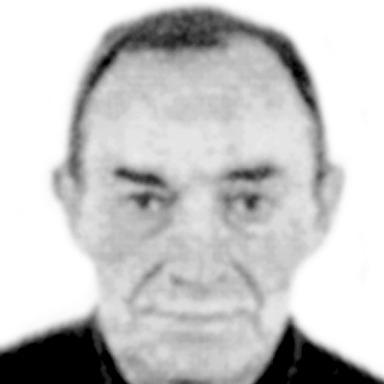 Milan Petrović