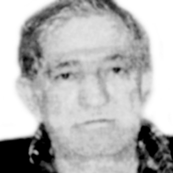 Veselin Vujadinović
