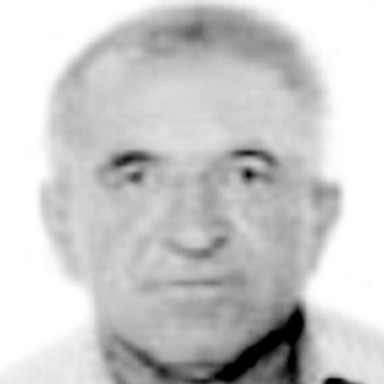 Vido Batričević