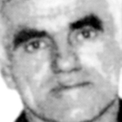Živojin Jokić