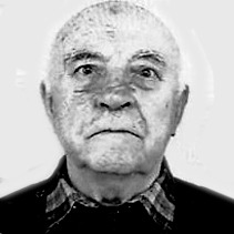 Milovan Mišo Perišić