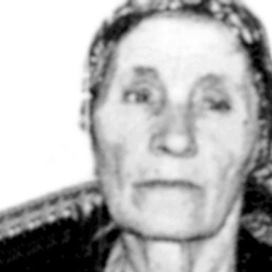 Anka Šišović