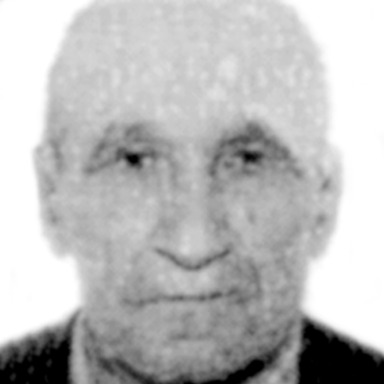 Borislav Folić
