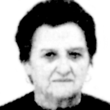 Roža Kokotović