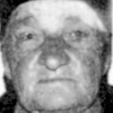 Stamena Nedović