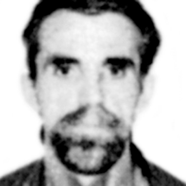 Milan Aligrudić