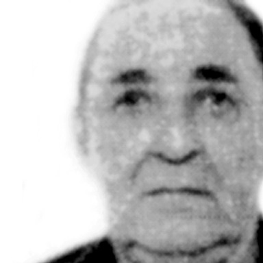 Radomir Bigović