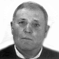 Cvijo Lelović