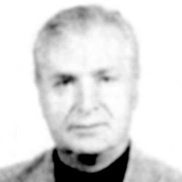Mihajlo Ristić