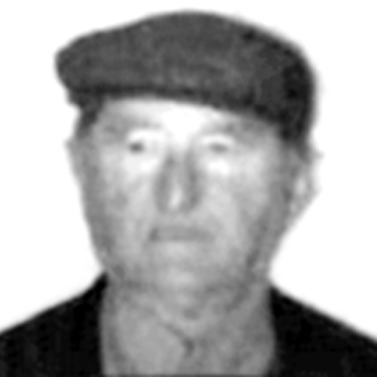 Nikola Dobrica
