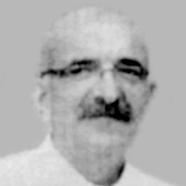 Vojkan Pavlović