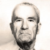 Gustav Pleh
