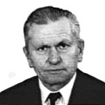 Metodije Vidović