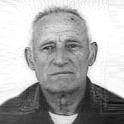 Stevo Pilipović