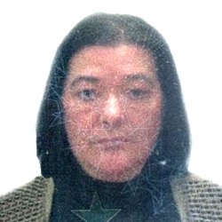 Vesna Vulin