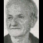 Žarko Jelić