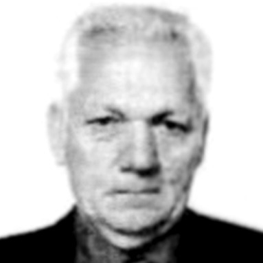 Sava Banić