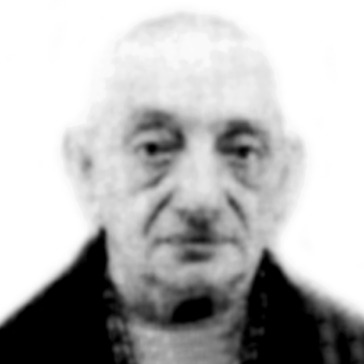 Vladislav Petković