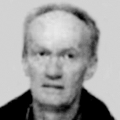 Ljubiša Šarac