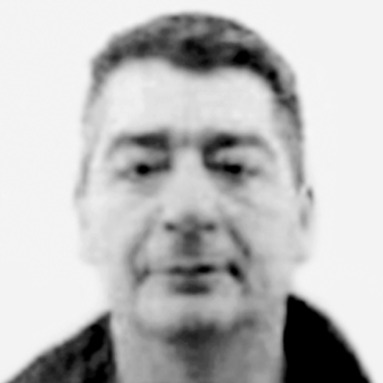 Momir Ilić