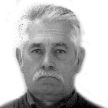 Niko Botić