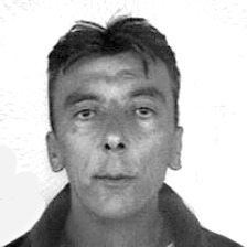 Sreto Pavičić