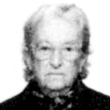 Bisenija Stefanović
