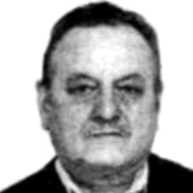 Petar Mitrović