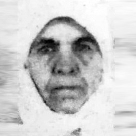 Aiša Žilić