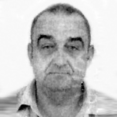 Mirsad Vehabović