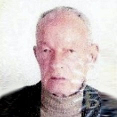 Hase Hasanagić