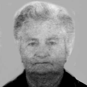 Jelka Vokić