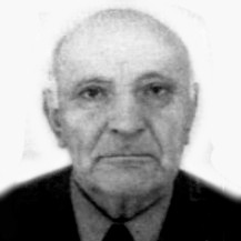 Novak Zubić