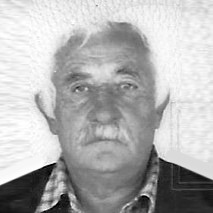 Spasoje Šarović