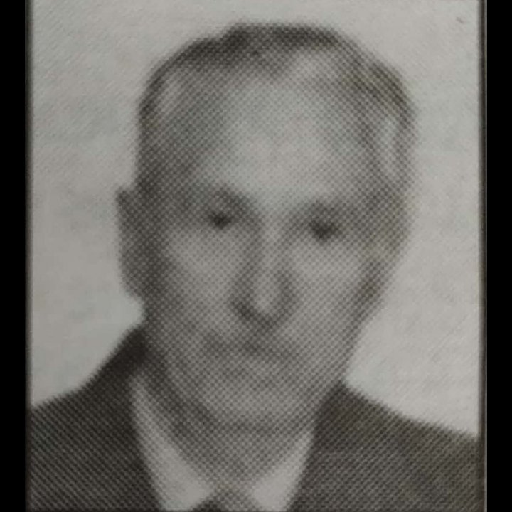 Gojko Brajović